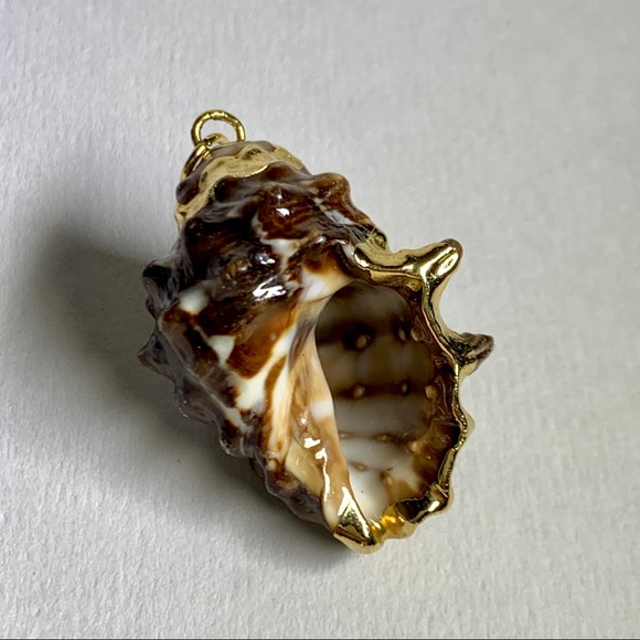 ⭐️ Gold Plated Shell ⭐️ - Picture 8 of 8